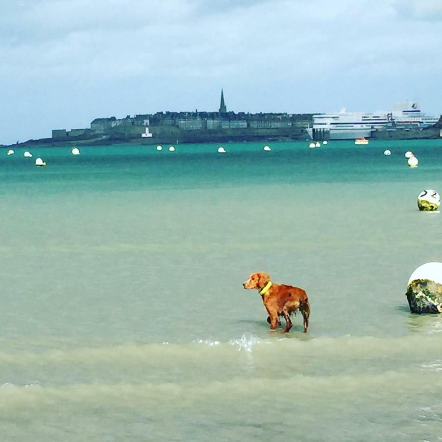 Haute Guais Dinard Luaran gambar
